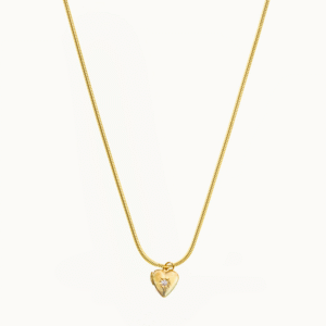 picture heart necklace